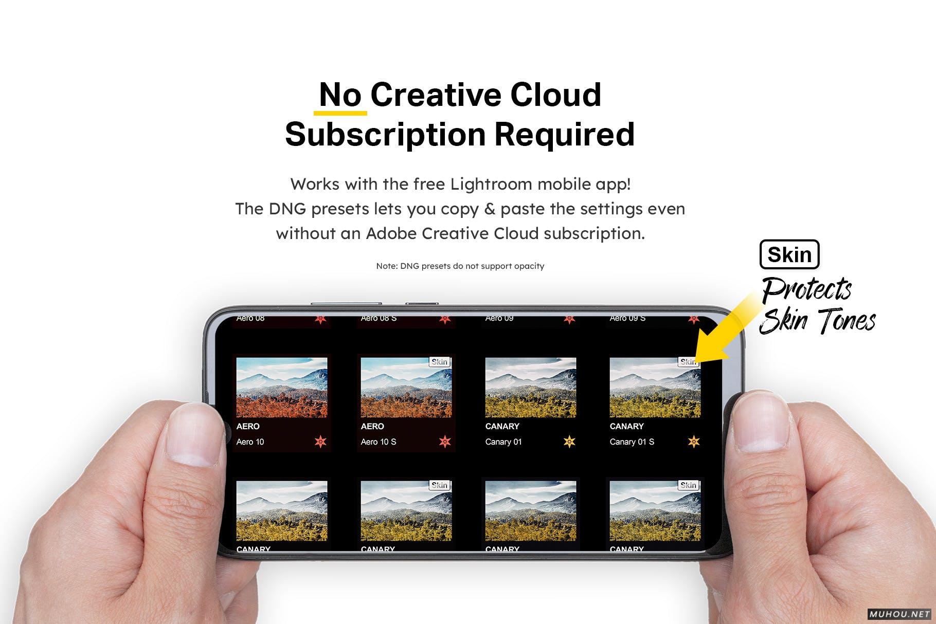 Luts调色预设-50套数字红外照相机和模拟红外胶片调色滤镜 50 Infrared Vibe Lightroom Presets and LUTs插图14