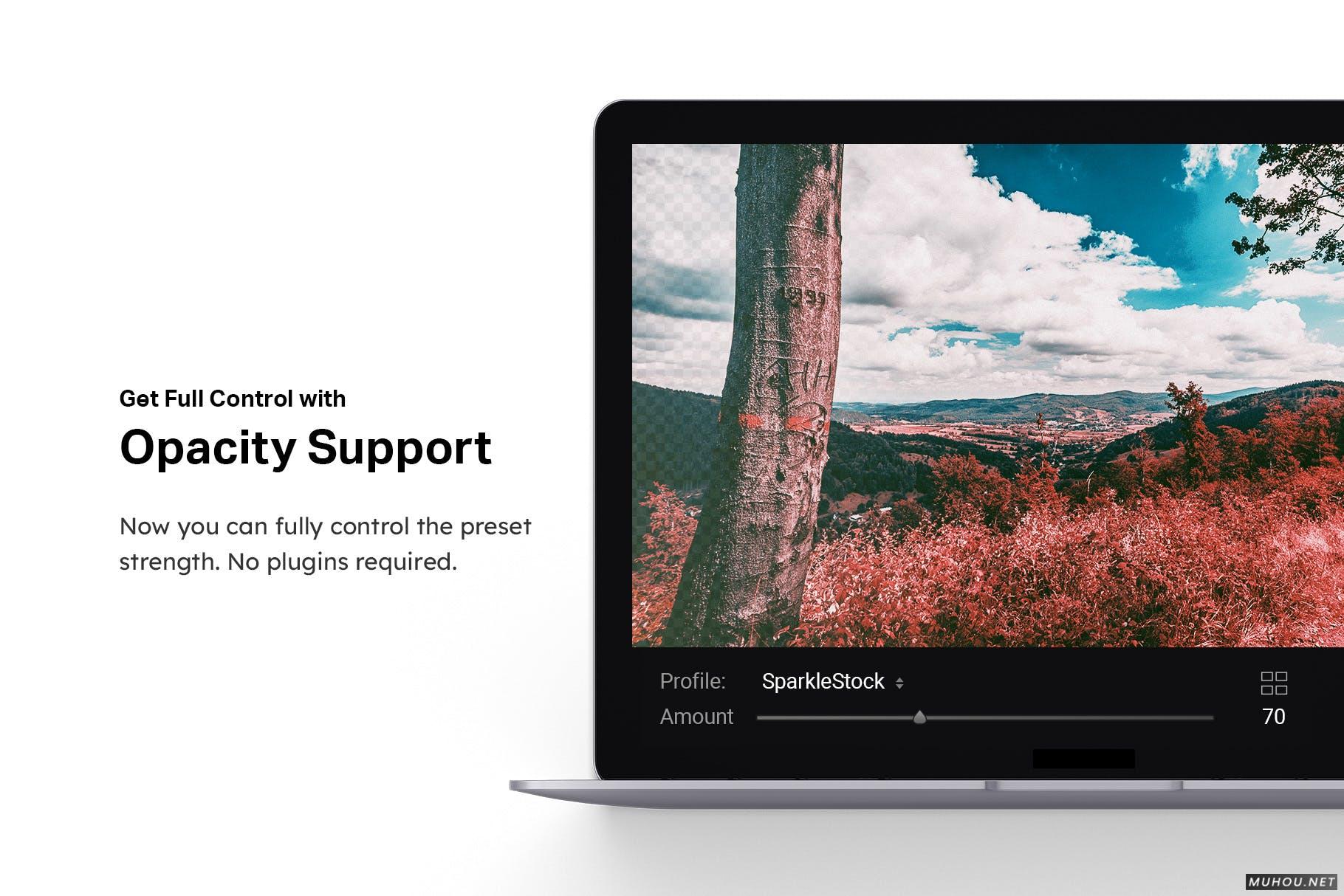 Luts调色预设-50套数字红外照相机和模拟红外胶片调色滤镜 50 Infrared Vibe Lightroom Presets and LUTs插图15