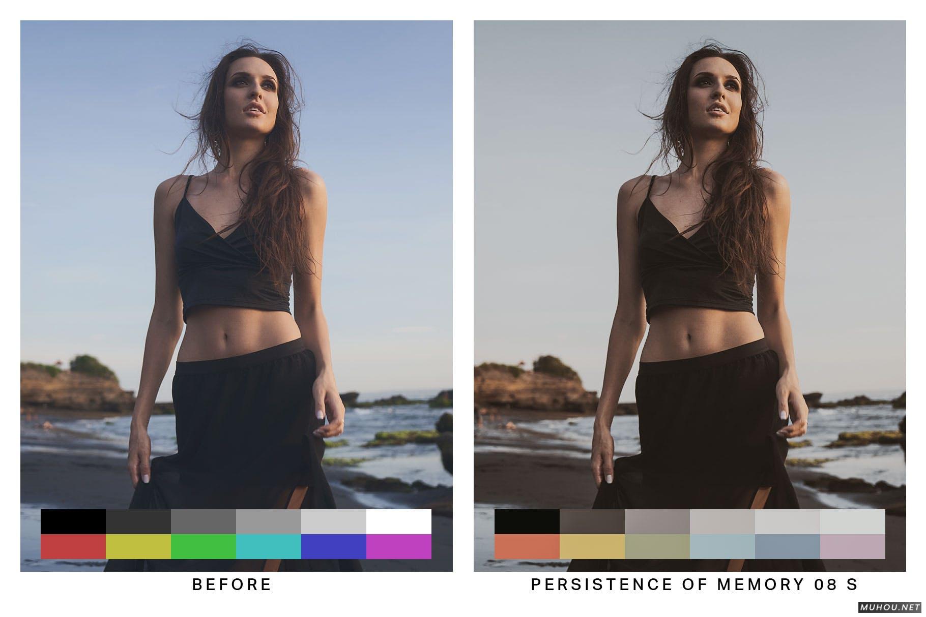 Luts调色预设-50套著名绘画调色复古绘画色调滤镜下载 50 Painting Tones Lightroom Presets and LUTs插图11
