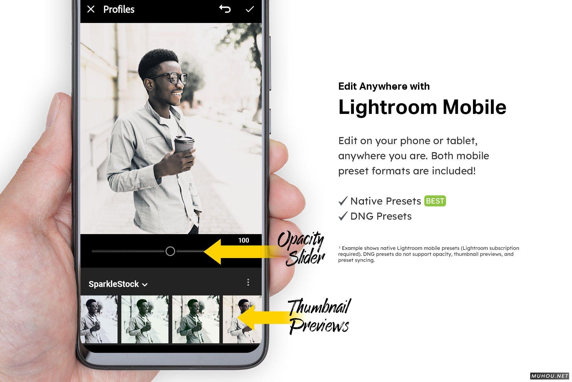 Luts调色预设-20组褪色风格木炭色调调色滤镜 20 Charcoal Lightroom Presets & LUTs插图13