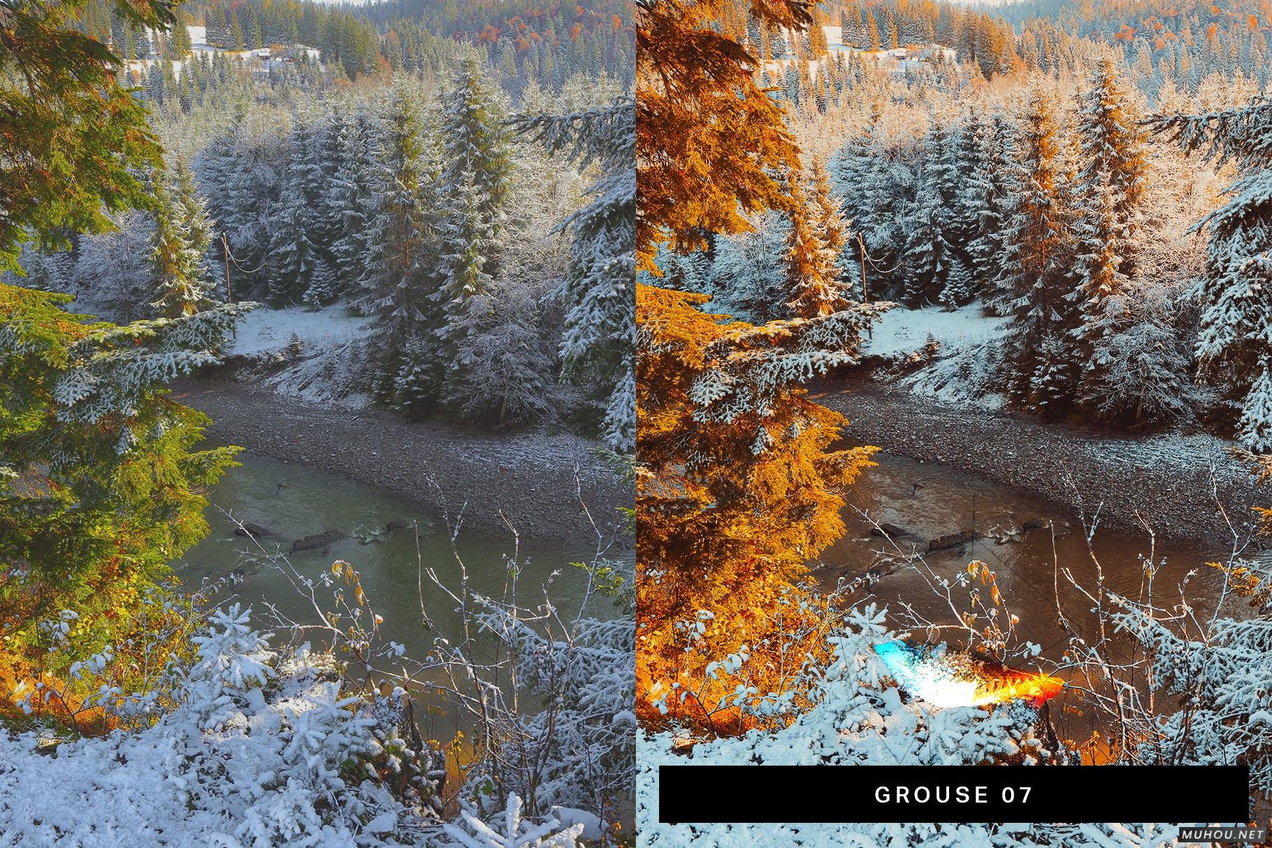 Luts调色预设-50套惠斯勒（Whistler）的阳光公路旅行视频照片调色滤镜50 Vancouver Lightroom Presets LUTs插图10