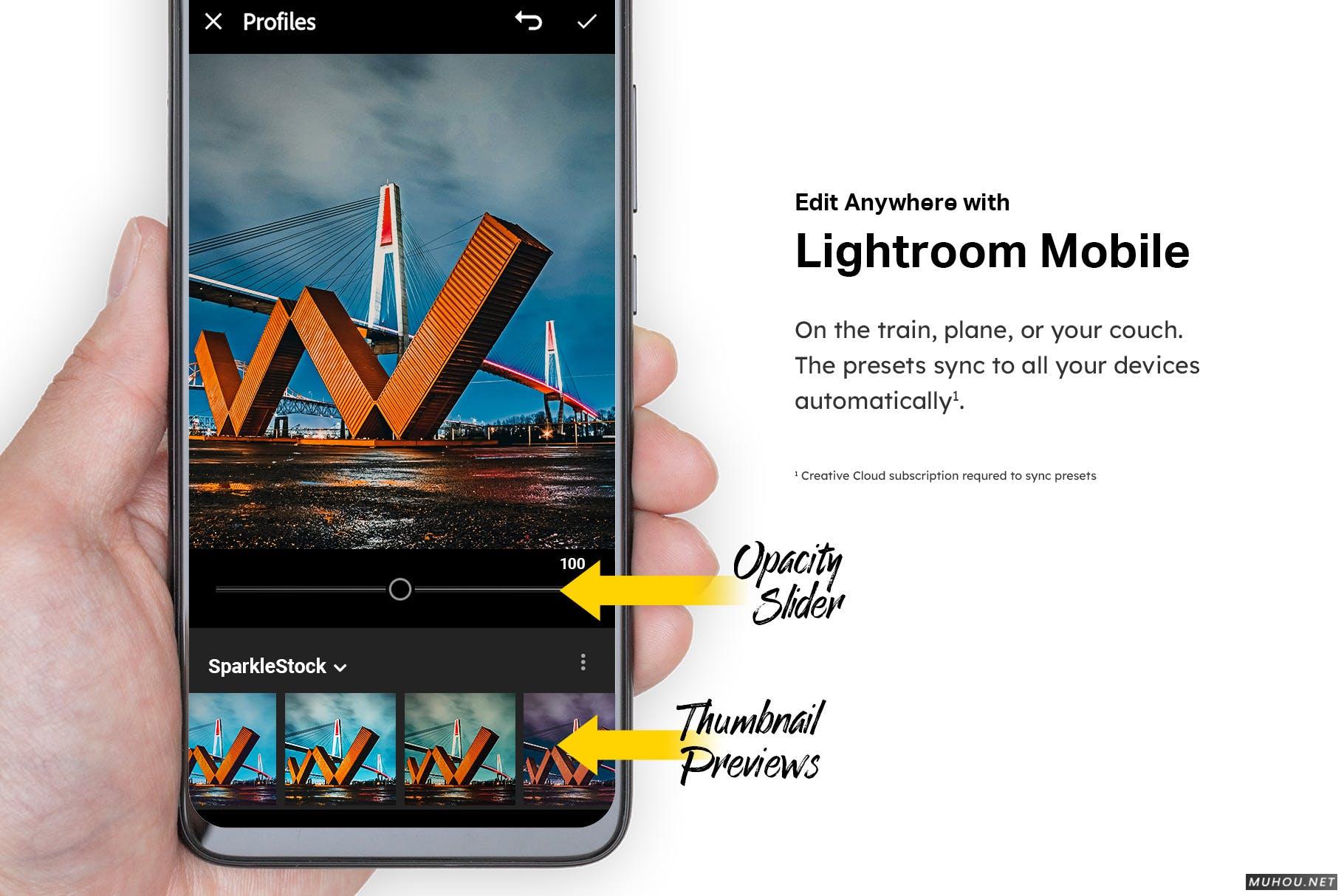 Luts调色预设-50套惠斯勒（Whistler）的阳光公路旅行视频照片调色滤镜50 Vancouver Lightroom Presets LUTs插图13