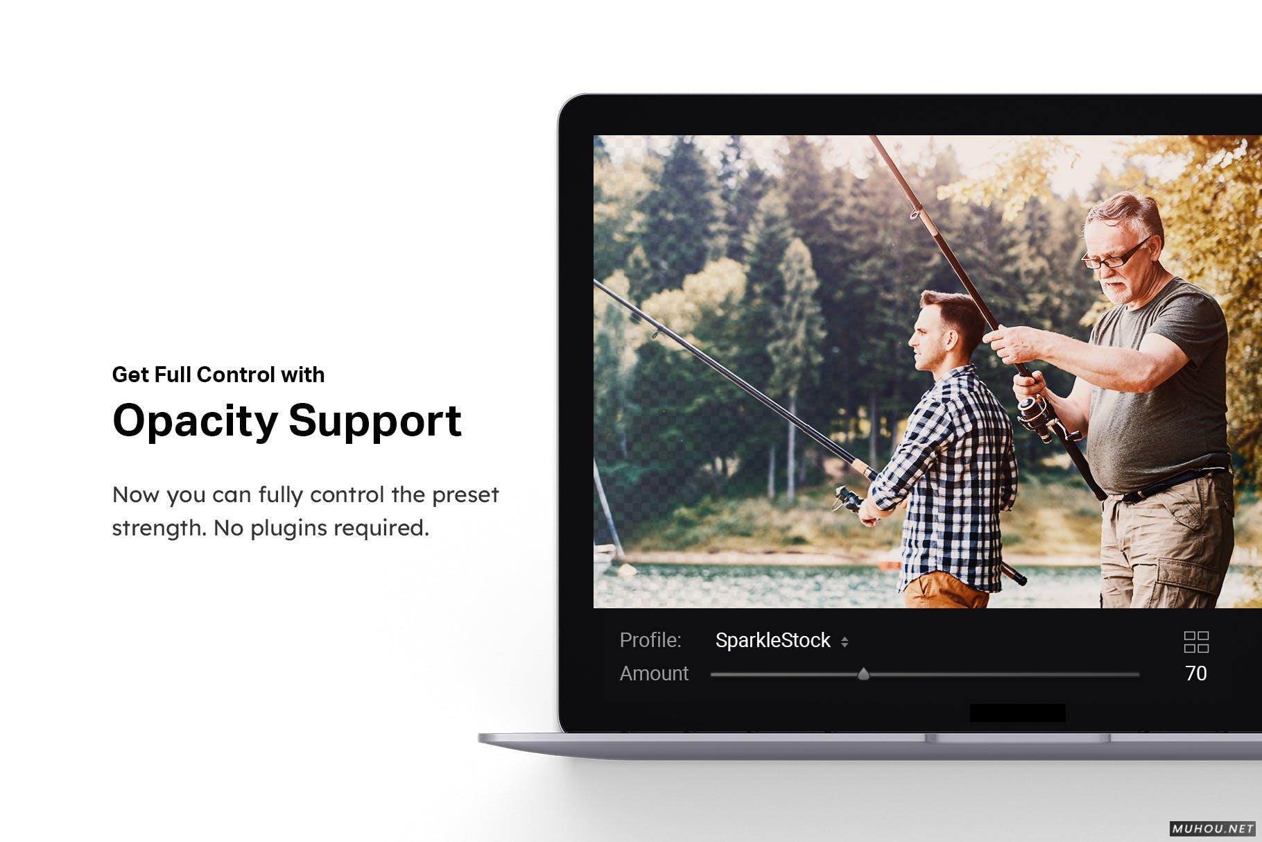 Luts调色预设-50套惠斯勒（Whistler）的阳光公路旅行视频照片调色滤镜50 Vancouver Lightroom Presets LUTs插图15