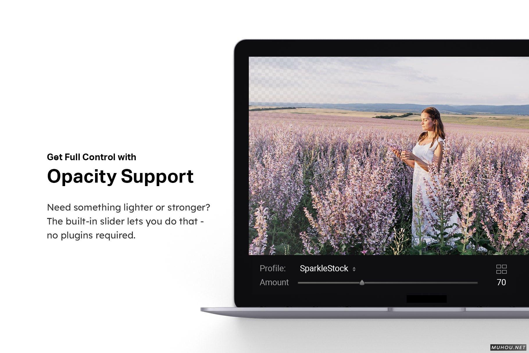 Luts调色预设-20组春天紫色和粉红色花朵色调素材 20 Lilac Lightroom Presets and LUTs插图14