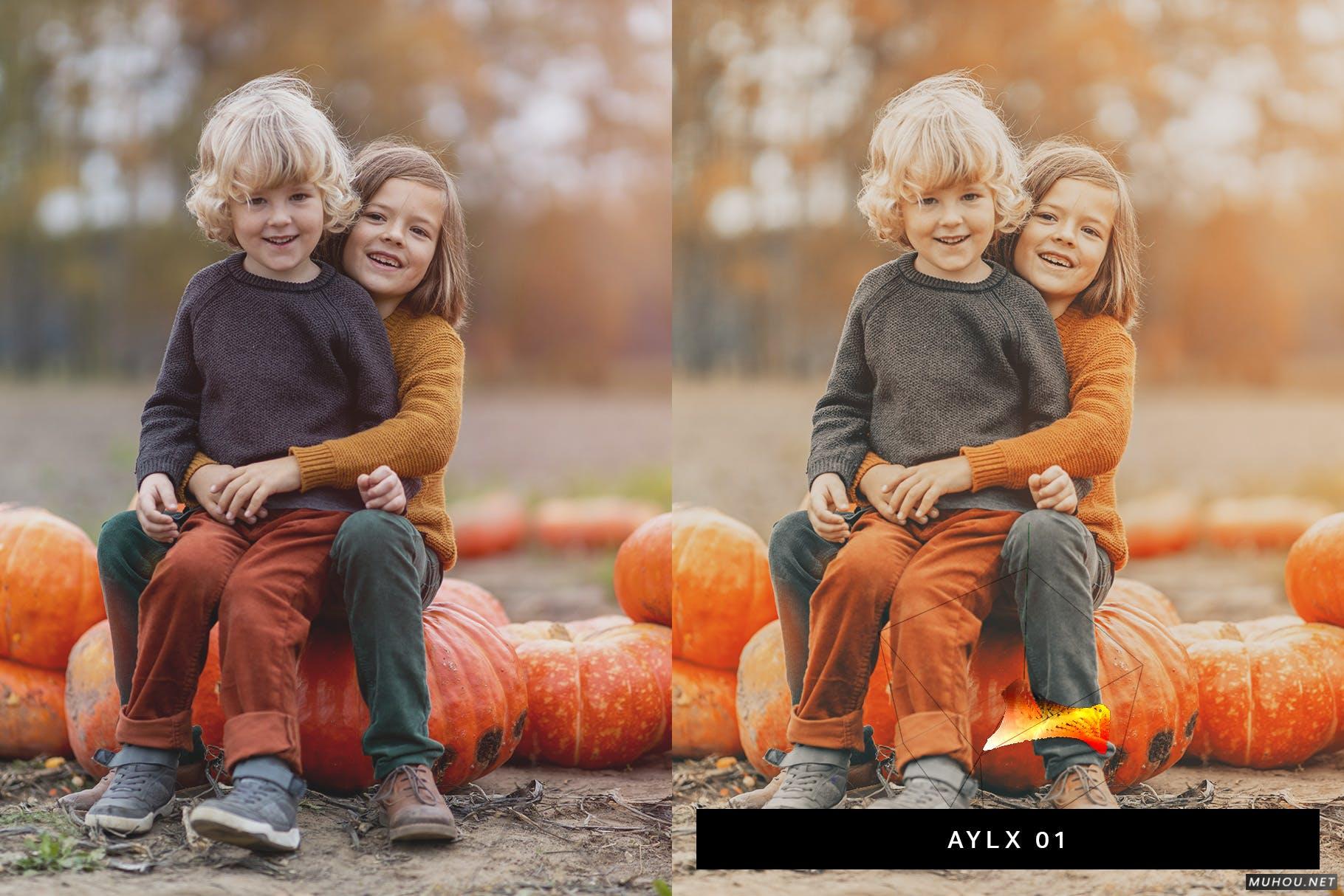 Luts调色预设-50套美丽南瓜橙色金发旅行秋季调色效果50 Pumpkin Orange Lightroom Presets and LUTs插图8