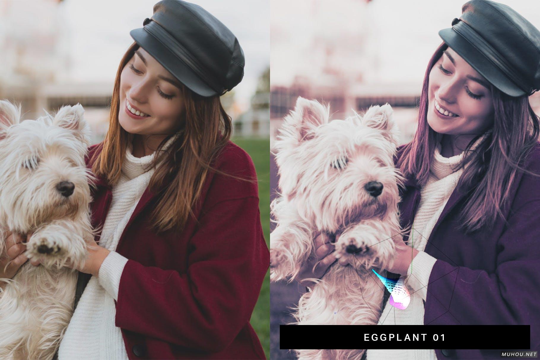 Luts调色预设-50套性感紫色色调女性肖像调色滤镜 50 Lavender Lightroom Presets and LUTs插图8