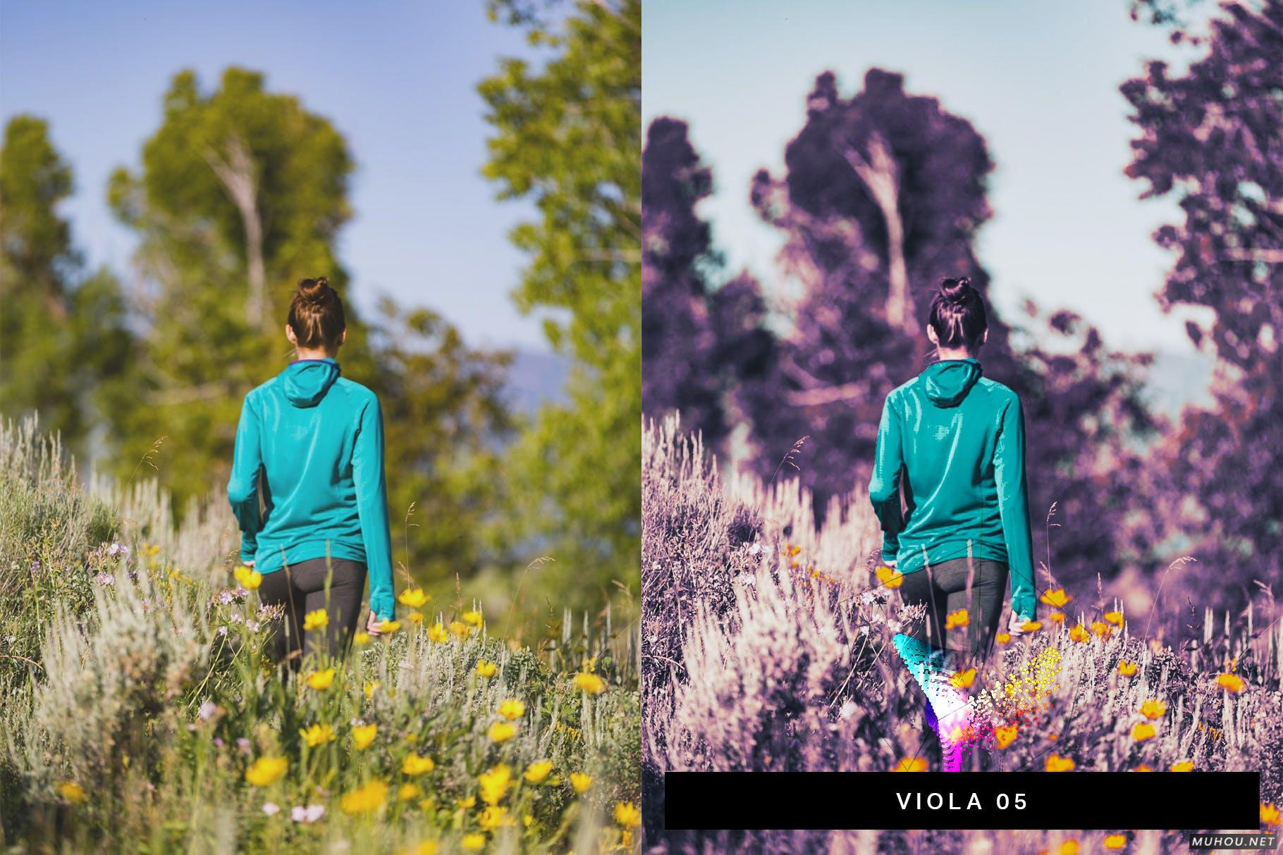 Luts调色预设-50套性感紫色色调女性肖像调色滤镜 50 Lavender Lightroom Presets and LUTs插图12