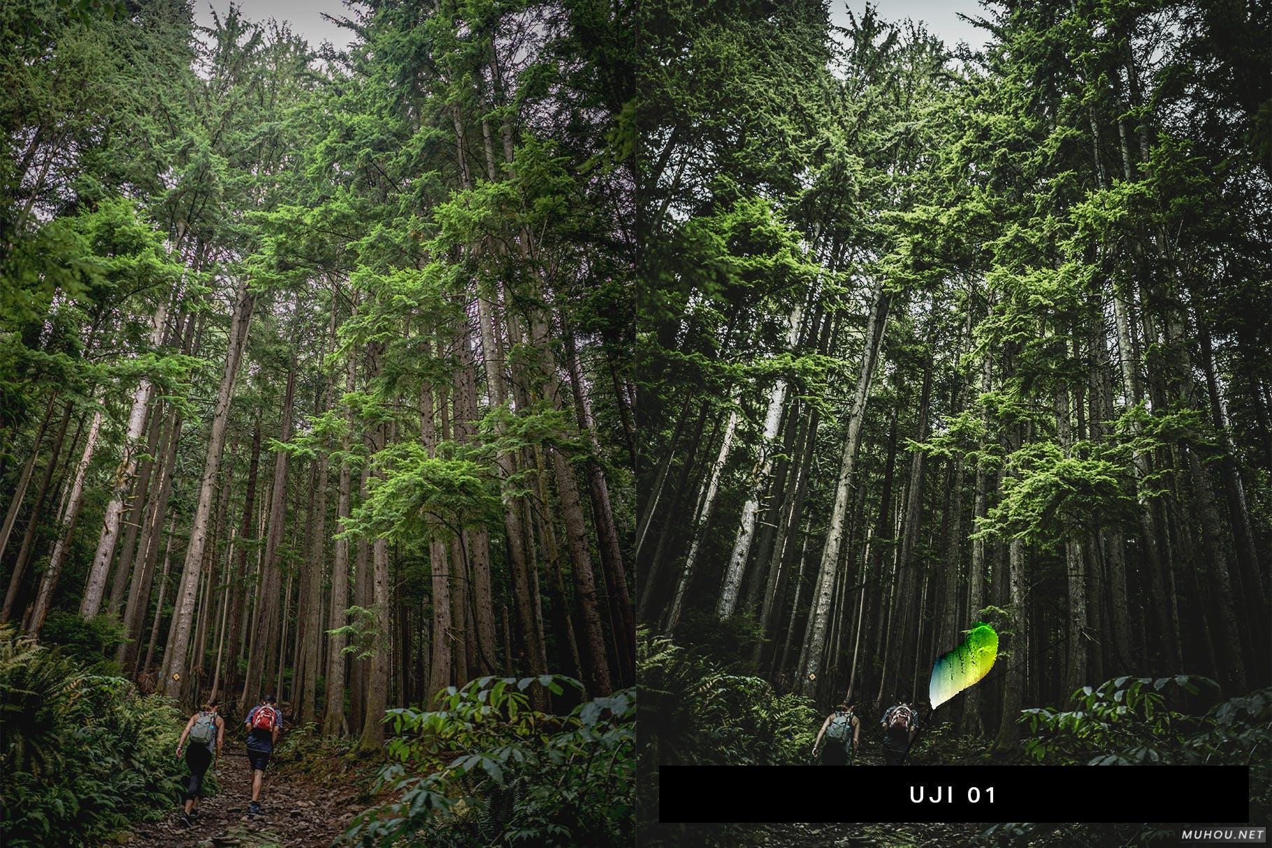 Luts调色预设-50组日本冥想绿色平静画面色调50 Matcha Lightroom Presets and LUTs插图9