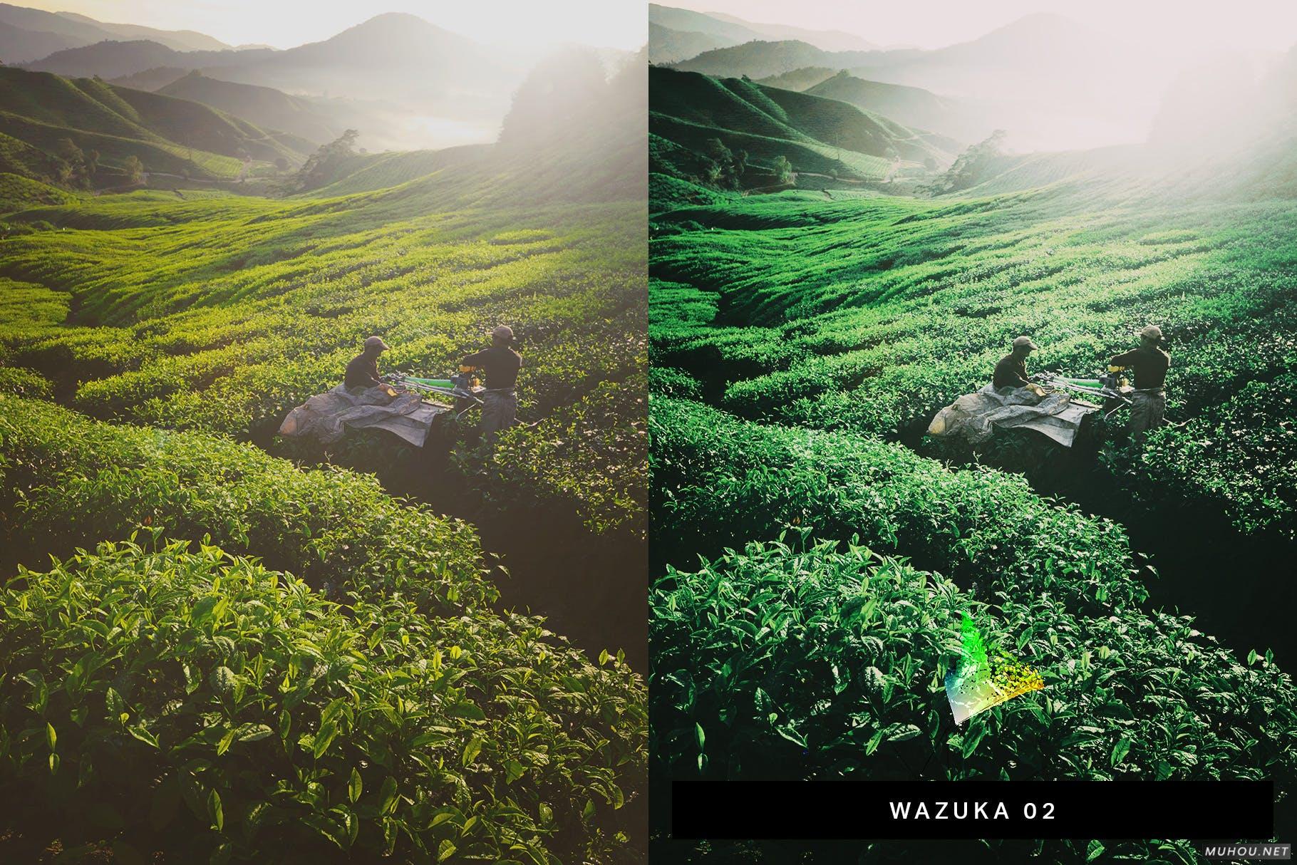 Luts调色预设-50组日本冥想绿色平静画面色调50 Matcha Lightroom Presets and LUTs插图10