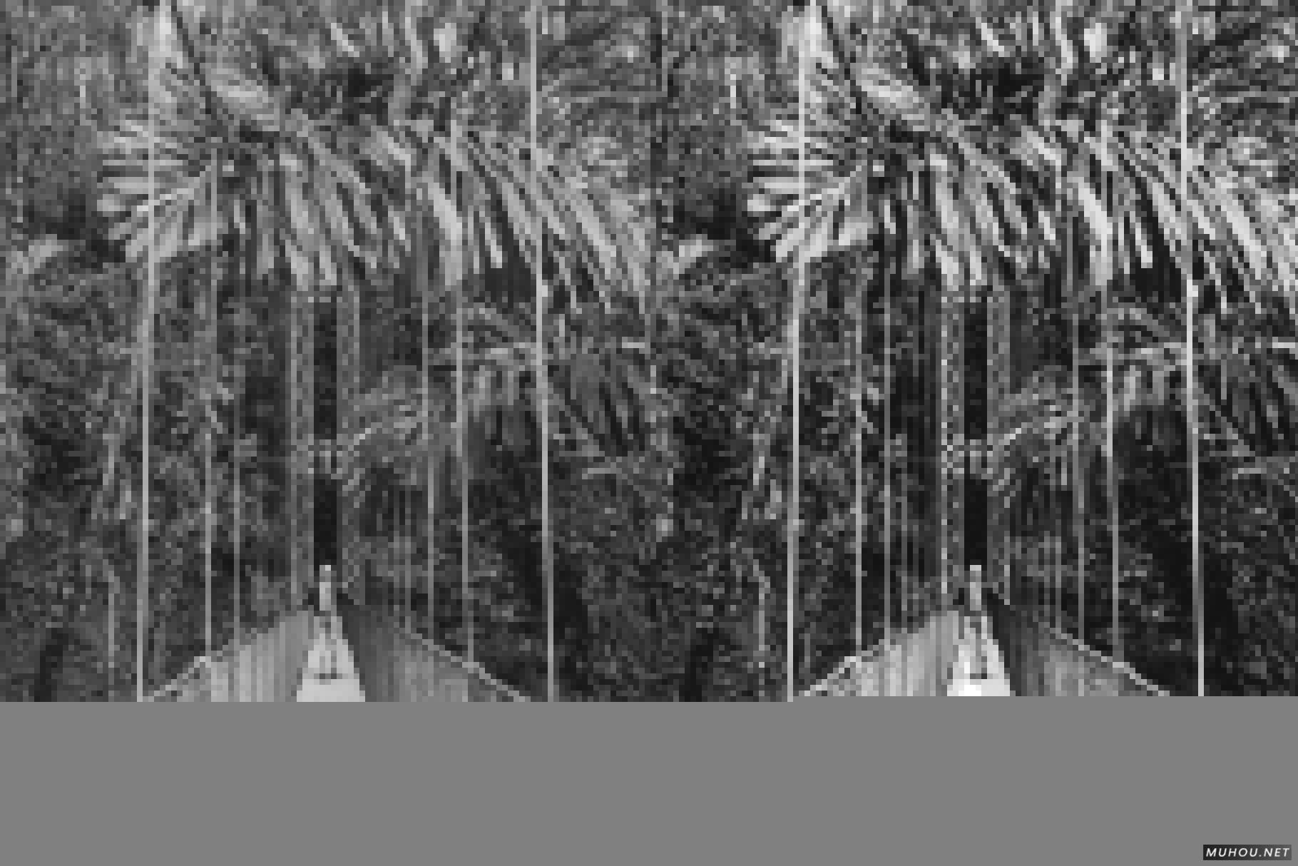 Luts调色预设-50组日本冥想绿色平静画面色调50 Matcha Lightroom Presets and LUTs插图11