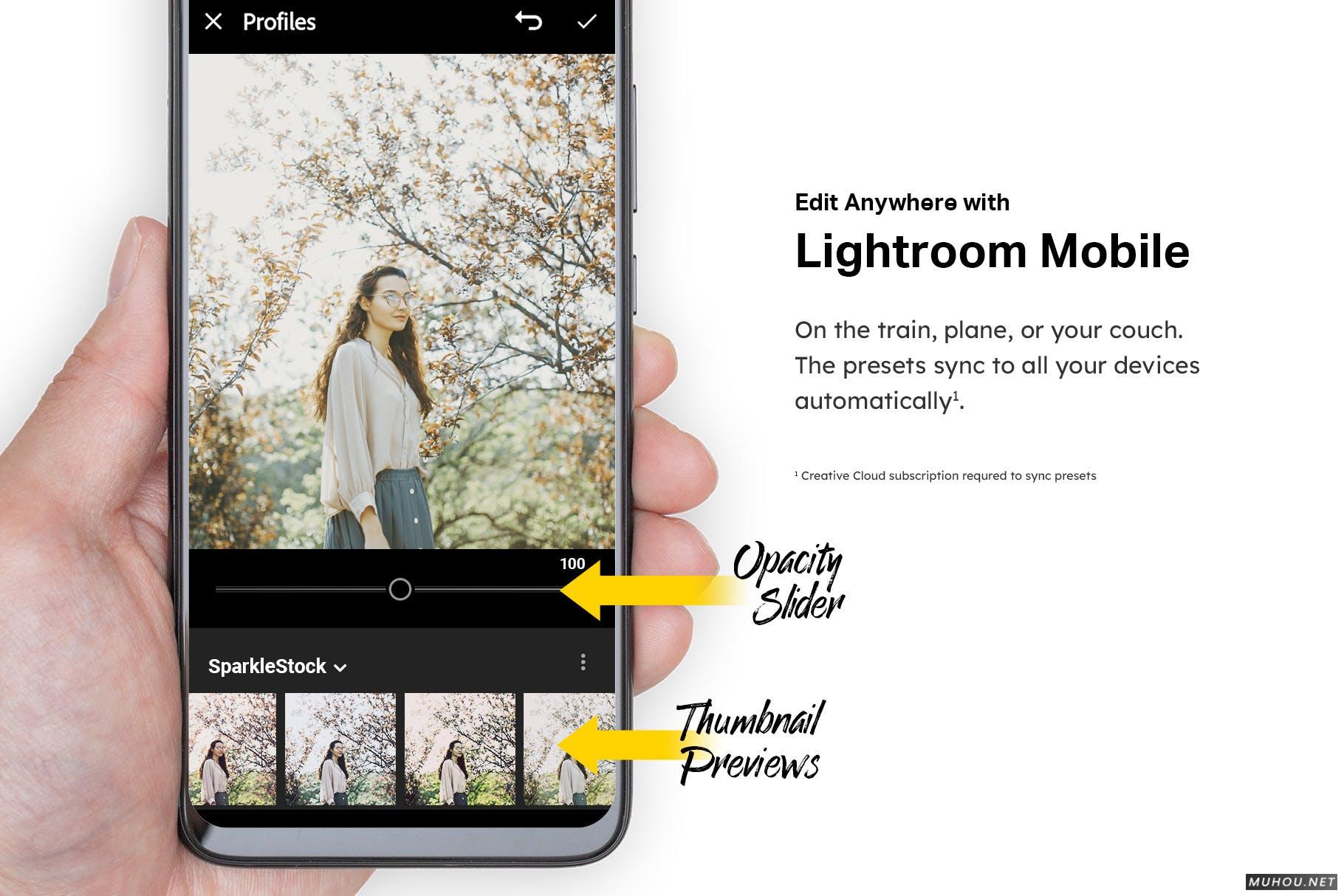 Luts调色预设-50组日本冥想绿色平静画面色调50 Matcha Lightroom Presets and LUTs插图12