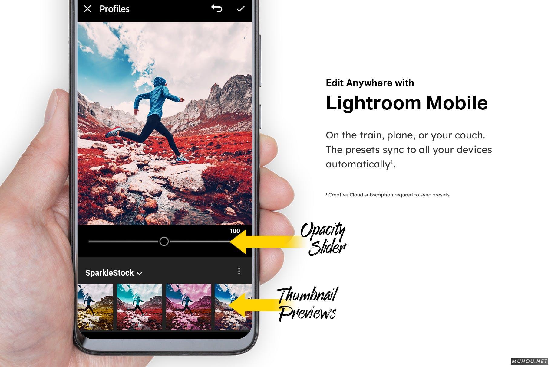Luts调色预设-50套数字红外照相机和模拟红外胶片调色滤镜 50 Infrared Vibe Lightroom Presets and LUTs插图13