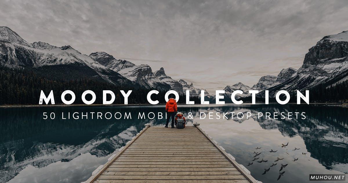 Luts调色预设-50组专业户外摄影自然调色滤镜50 Moody Lightroom Presets and LUTs