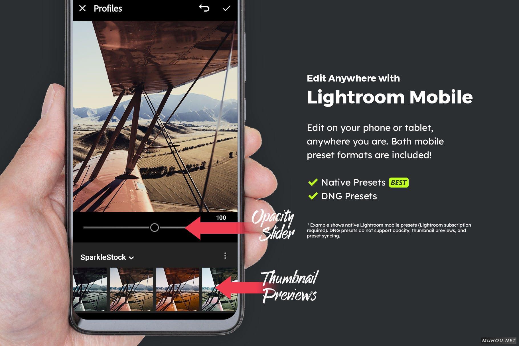 Luts调色预设-20套军事战争 二战胶片色调滤镜20 Wartime Lightroom Presets and LUTs插图12