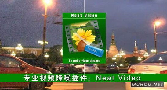 Nuke/达芬奇/Fusion/插件-专业视频降噪Neat Video Pro v4.8.8 Win下载