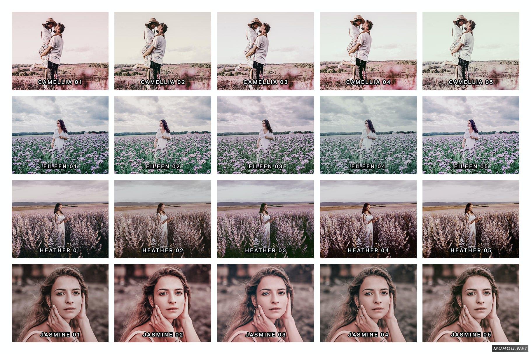 Luts调色预设-20组春天紫色和粉红色花朵色调素材 20 Lilac Lightroom Presets and LUTs插图7