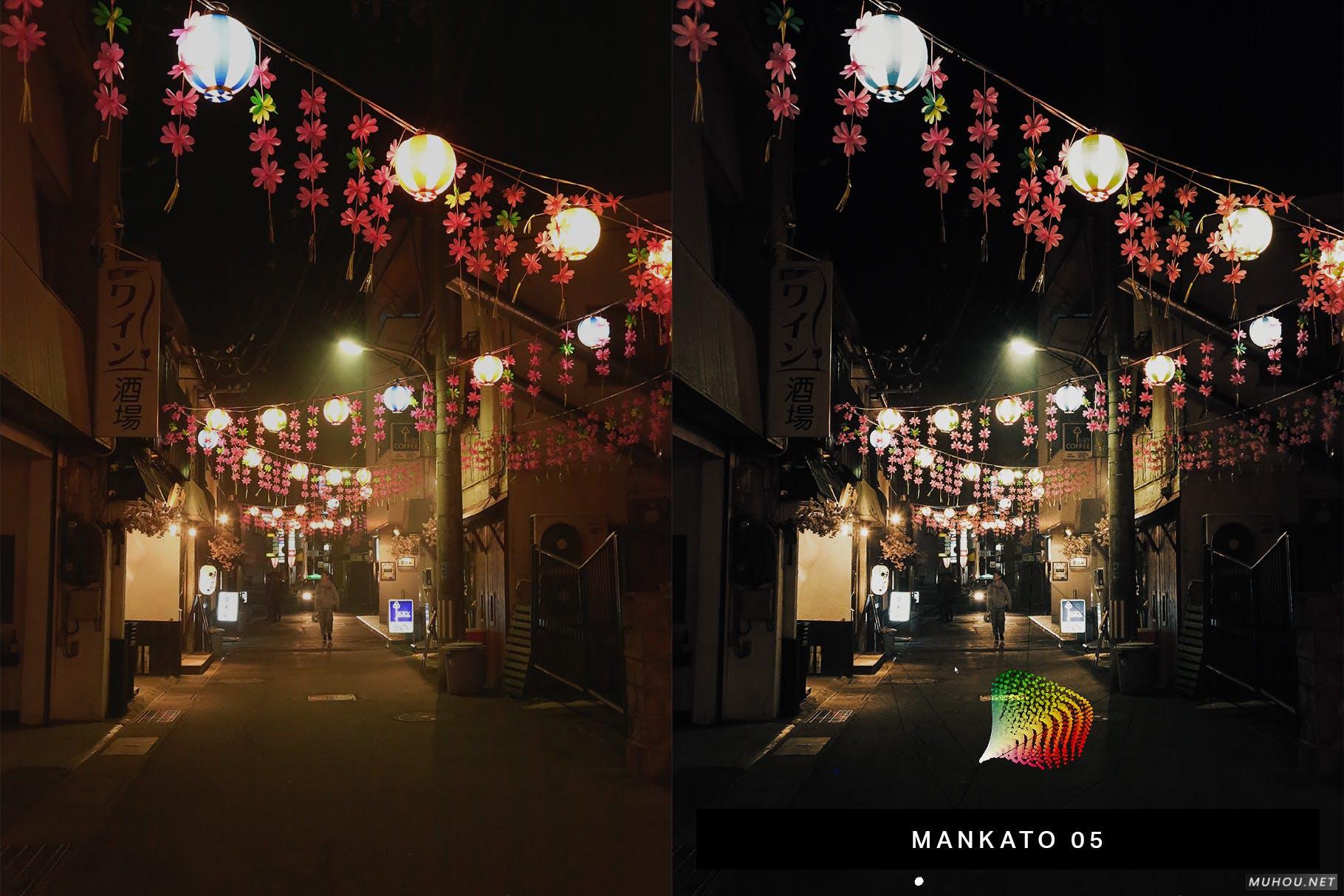 Luts调色预设-电影寻找城市探险者50组调色滤镜下载50 Ashes Lightroom Presets and LUTs插图9