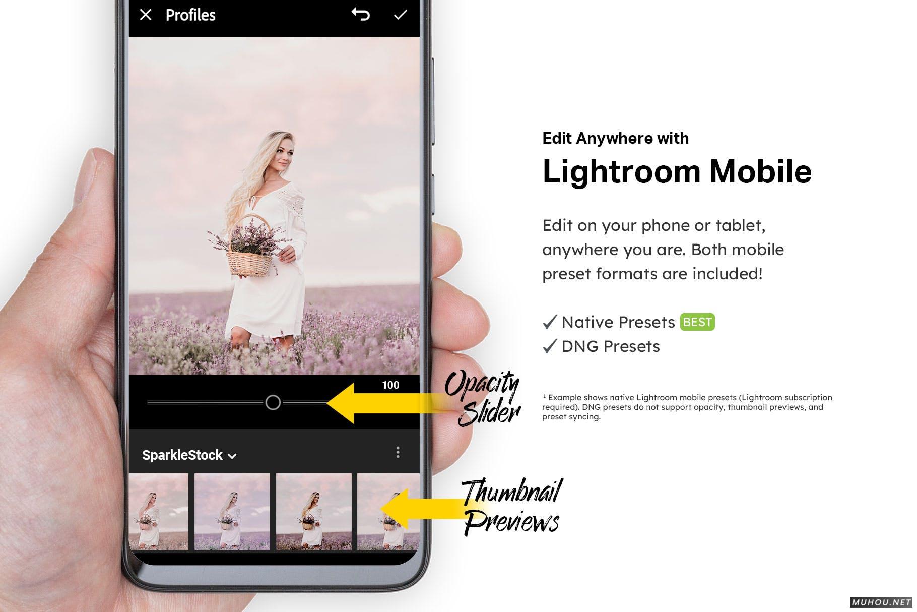Luts调色预设-20组春天紫色和粉红色花朵色调素材 20 Lilac Lightroom Presets and LUTs插图12