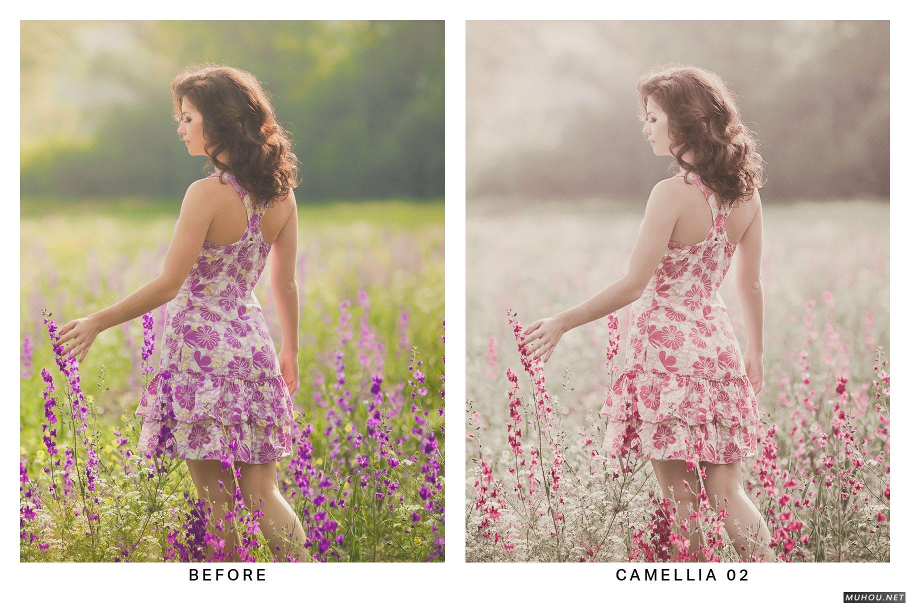 Luts调色预设-20组春天紫色和粉红色花朵色调素材 20 Lilac Lightroom Presets and LUTs插图8