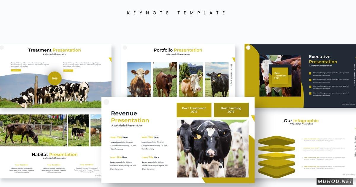 农村产生畜牧业主题演讲Keynote模板（KEY）插图