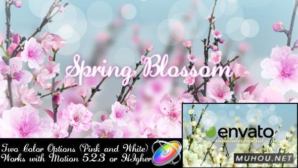 春天开花梅花粉色片头FCPX视频模板插图