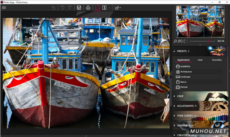 模糊照片变清晰软件InPixio Photo Focus Pro 4.11.7542.30933 破解版下载插图1