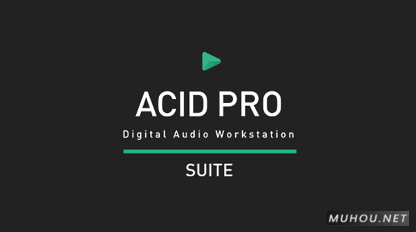 音频编辑软件MAGIX ACID Pro Suite 10.0.3.24 破解版下载插图