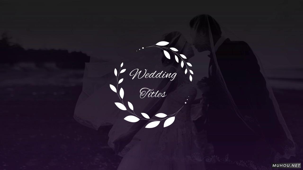 优雅的婚礼头衔#Elegant Wedding Titles视频AE素材模板插图