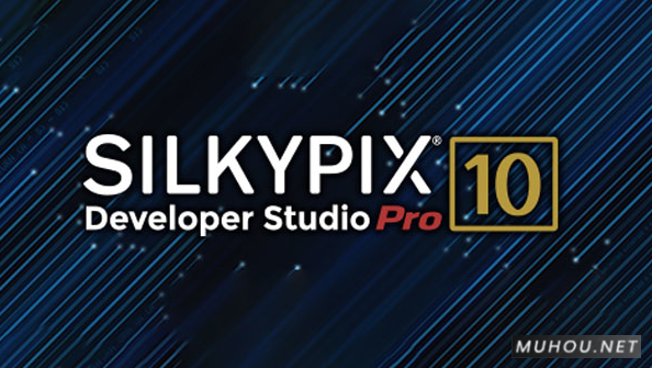 RAW数码照片处理软件SILKYPIX Developer Studio Pro 10.0.6.0 WIN 64破解版下载插图