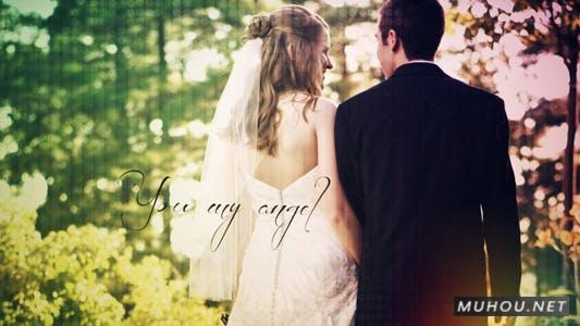 你我的天使浪漫婚礼照片视频AE模板插图