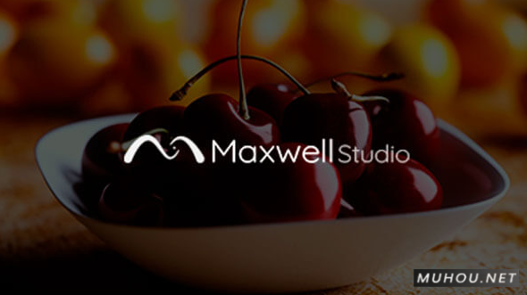三维真实光线渲染器软件Maxwell Studio v5.1.0.29 WIN破解版下载