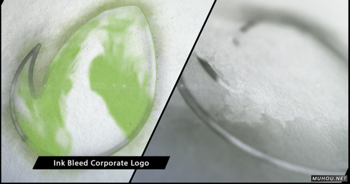 水墨中国风企业logo标志视频AE模板