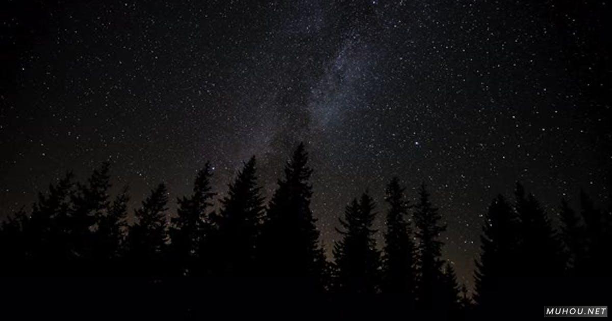 Night Sky夜晚的森林星空银河4k延时摄影视频素材