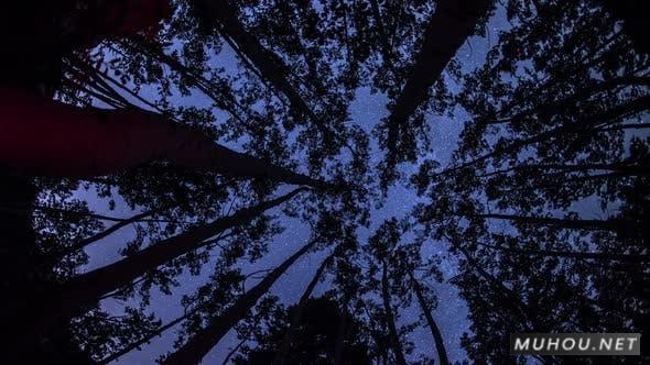 Astro Timelapse仰拍树木上的星空夜景延时摄影视频素材插图