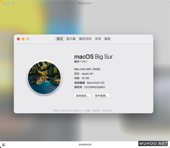 Permute 3.5.12 简体中文破解版下载 (MAC最纯粹的格式转换软件) 兼容Silicon M1插图4