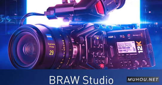 AE/PR插件-BRAWStudio v2.2.4Win破解版下载 (RAW格式视频素材导入软件)