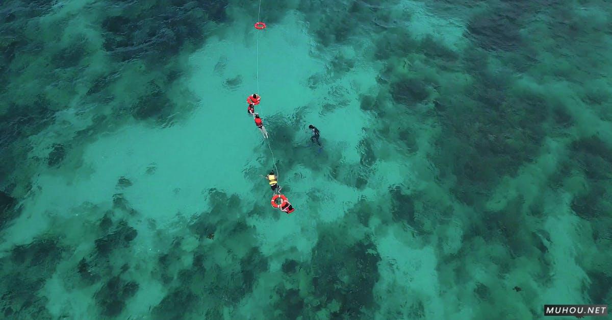 珊瑚礁浮潜潜水运动4k航拍CC0视频素材
