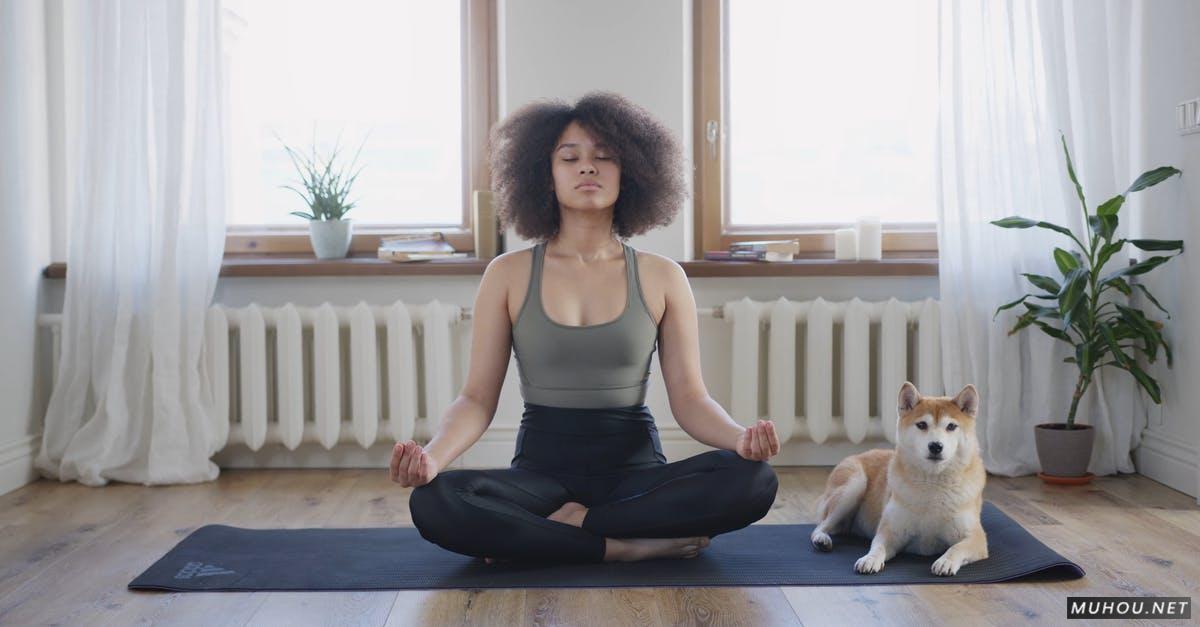 健康健身瑜伽冥想和狗4k高清CC0视频素材插图