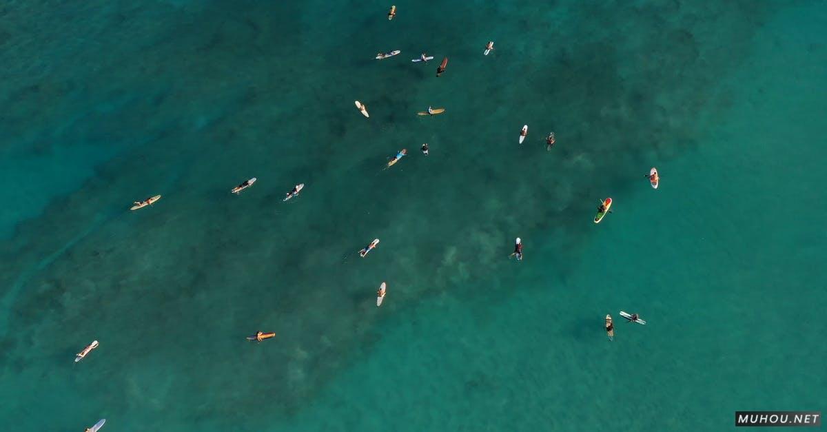 无人机航拍绿色海面上划船水上运动的人群4k高清CC0视频素材