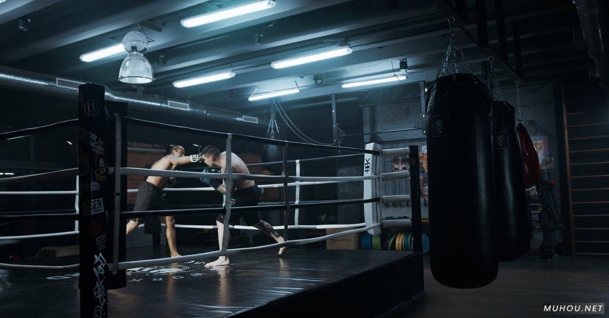 健身房两个拳击手对打竞技运动的4K高清CC0视频素材插图