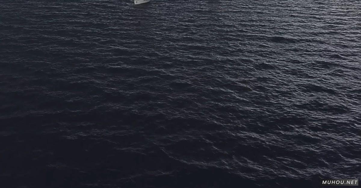 高清航拍海上帆船运动竖屏4k CC0视频素材插图