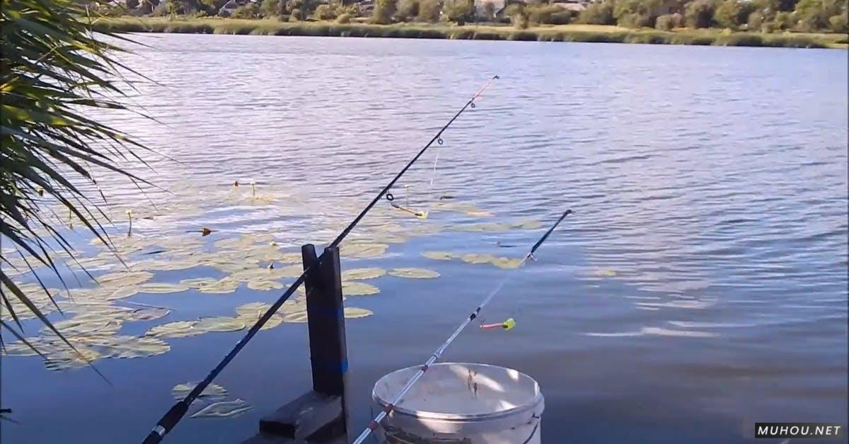 在湖边钓鱼休闲生活方式CC0视频素材