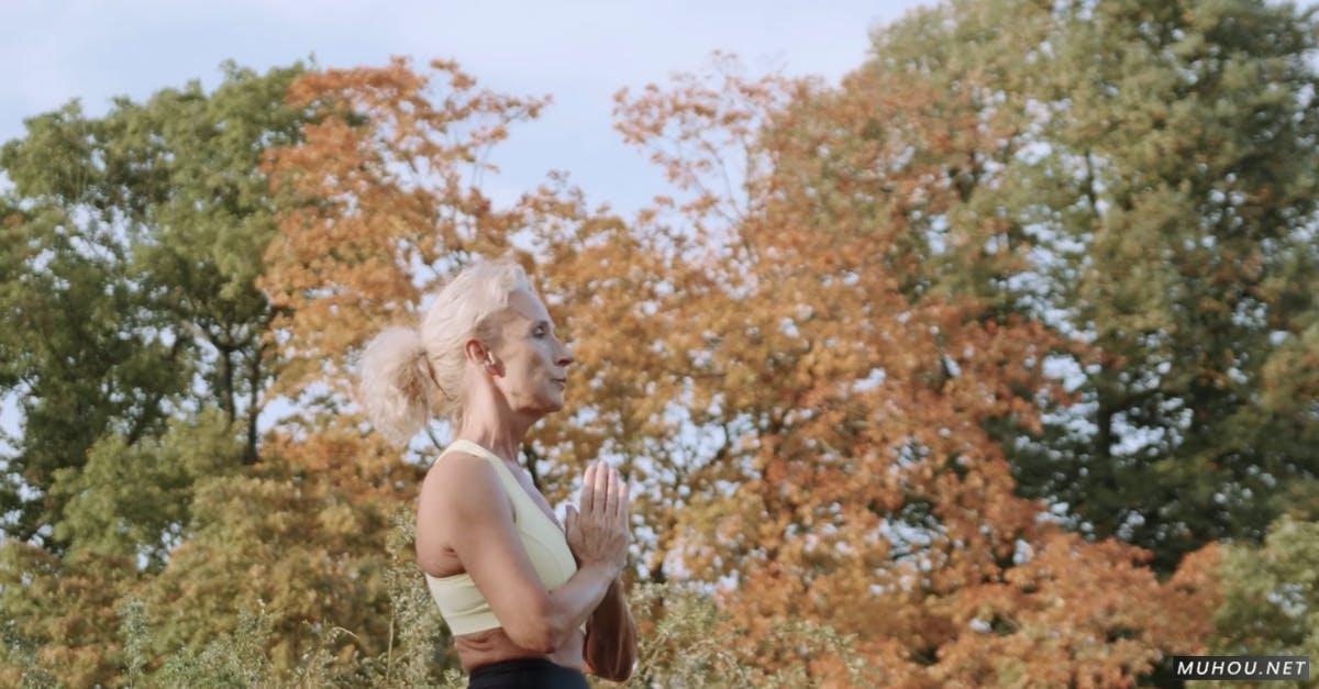 patime老年人公园瑜伽4k竖屏高清CC0视频素材插图