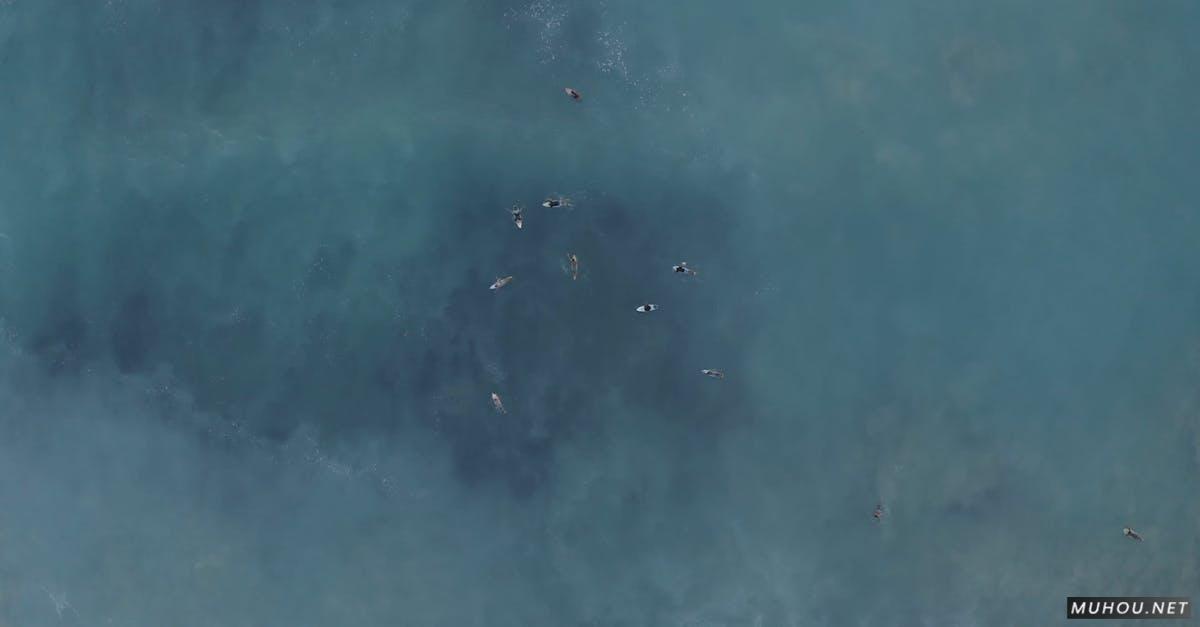 航拍海中游泳的人群4k高清CC0视频素材插图