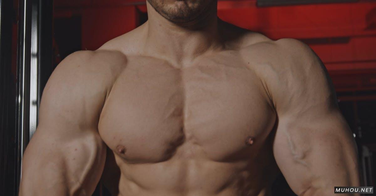 穆斯库罗斯庞贝多斯肌肉运动员健身4k高清CC0视频素材插图