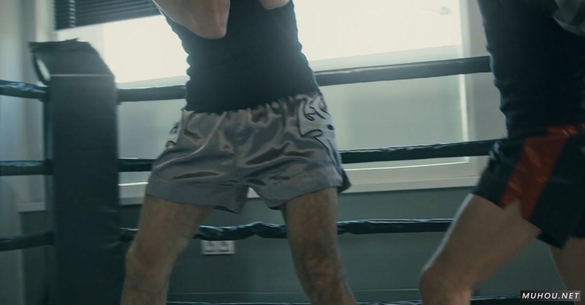 拳击运动两个人对打4k竖屏高清CC0视频素材