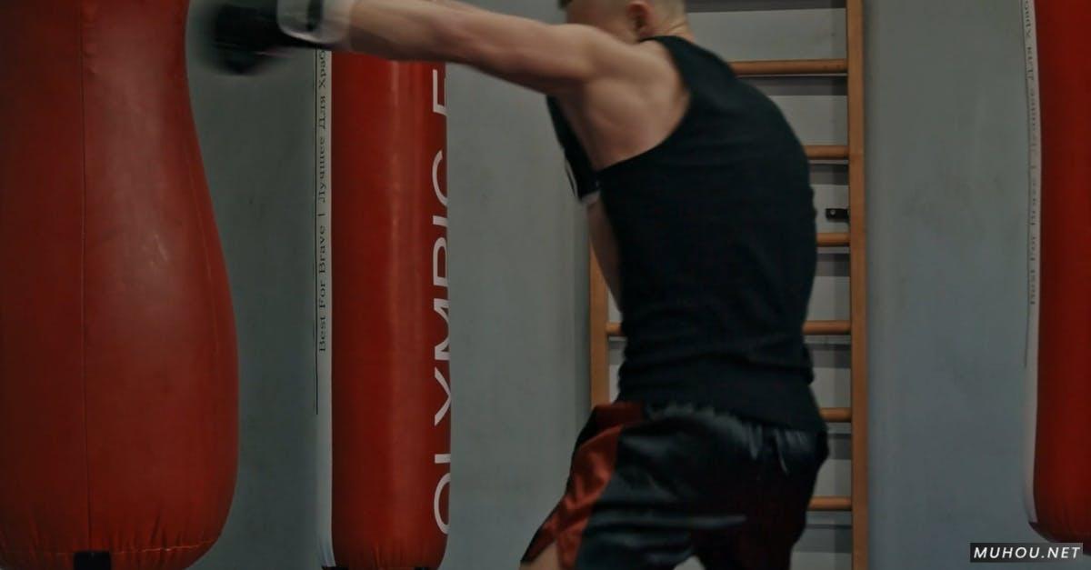 男人战斗体育馆拳击运动4k竖屏高清CC0视频素材