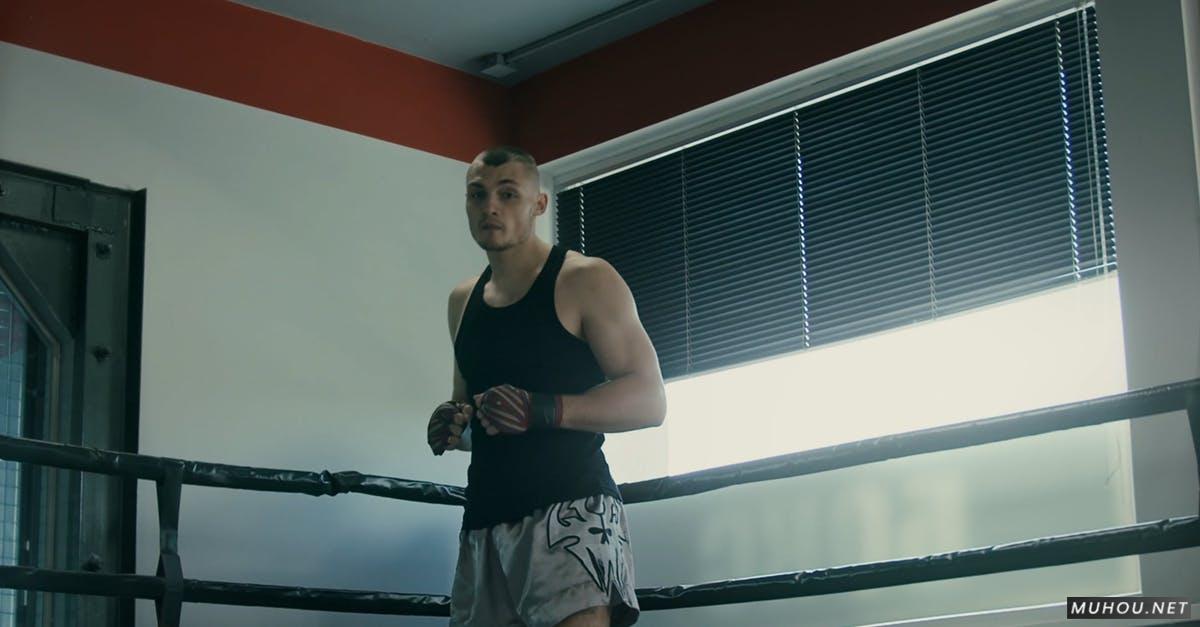 室内拳击场的外国男人4K视频下载插图