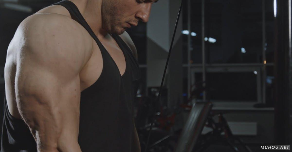 健身房肌肉男人健身4k高清CC0视频素材插图