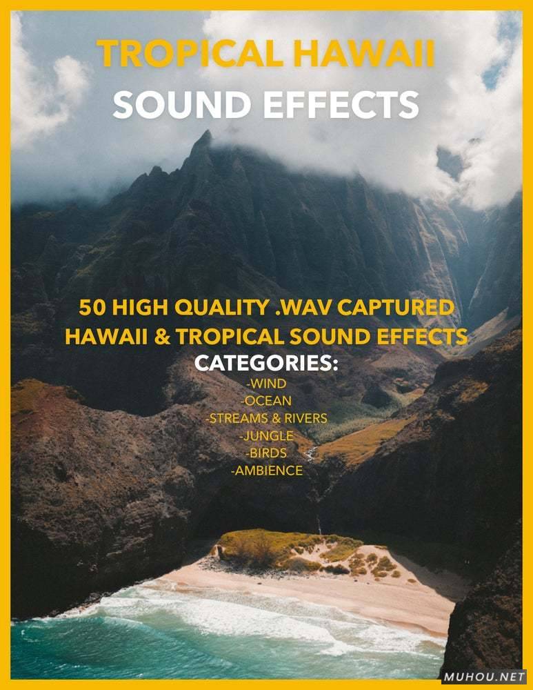 50+夏威夷群岛高质量音效素材下载